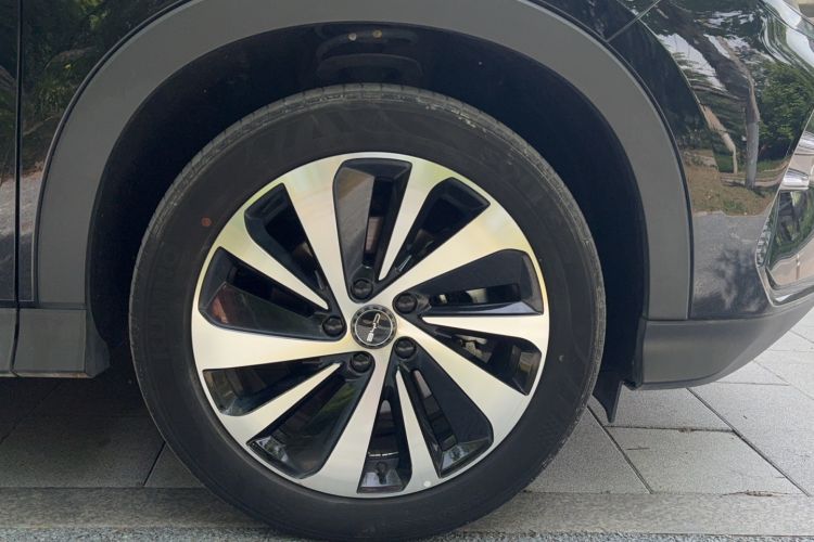 Used BYD Song PLUS New Energy 2023 Champion Edition DM-i 110KM Flagship PLUS Exterior 5
