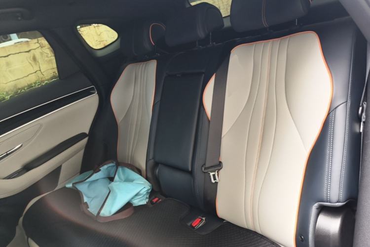 Used BYD Song PLUS New Energy 2023 Champion Edition DM-i 150KM Flagship PLUS Left Rear Seat