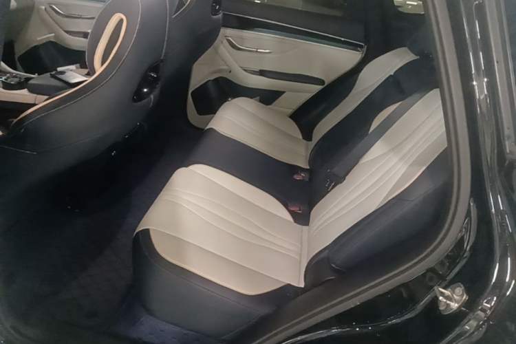 Used BYD Song PLUS New Energy 2023 Champion Edition DM-i 110KM Flagship PLUS Left Rear Seat