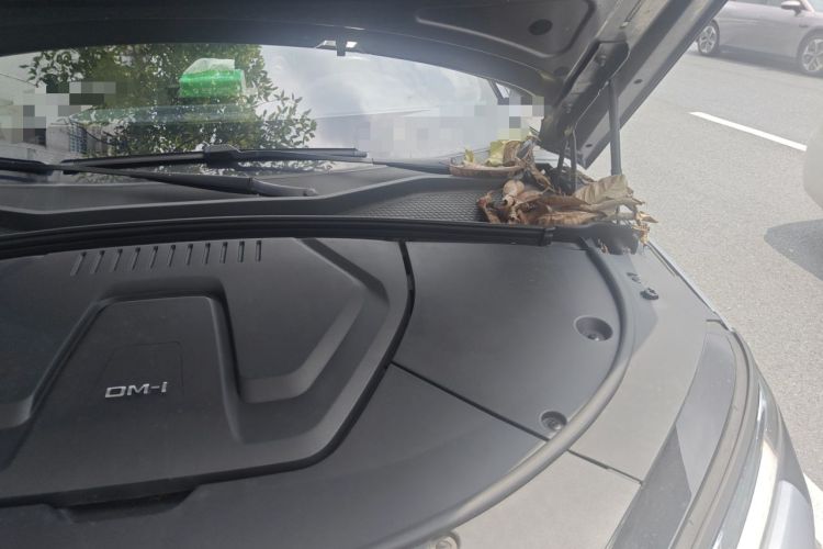 Used BYD Song PLUS New Energy 2023 Champion Edition DM-i 110KM Flagship PLUS Engine Bay Left