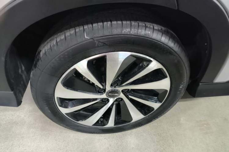 Used BYD Song PLUS New Energy 2023 Champion Edition DM-i 110KM Flagship PLUS Exterior 5