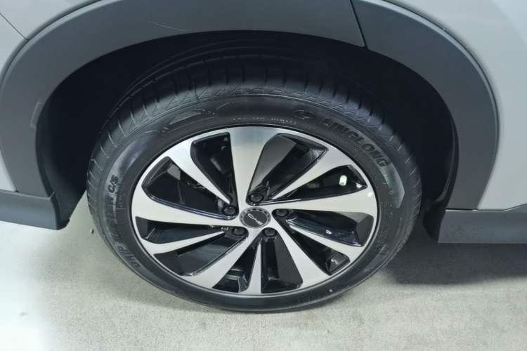 Used BYD Song PLUS New Energy 2023 Champion Edition DM-i 110KM Flagship PLUS Exterior 5