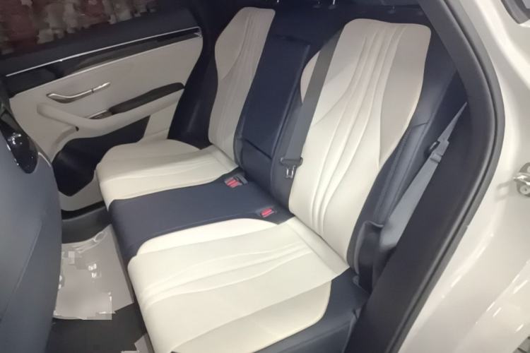 Used BYD Song PLUS New Energy 2023 Champion Edition DM-i 110KM Flagship PLUS Left Rear Seat