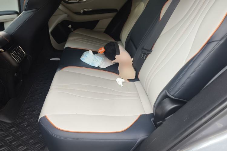 Used BYD Song PLUS New Energy 2023 Champion Edition DM-i 110KM Flagship Model Left Rear Seat