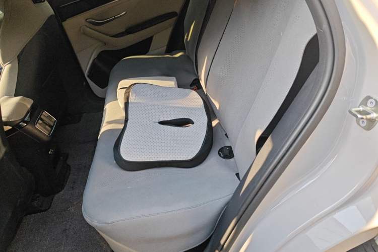 Used BYD Song PLUS New Energy 2023 Champion Edition DM-i 110KM Flagship Model Left Rear Seat