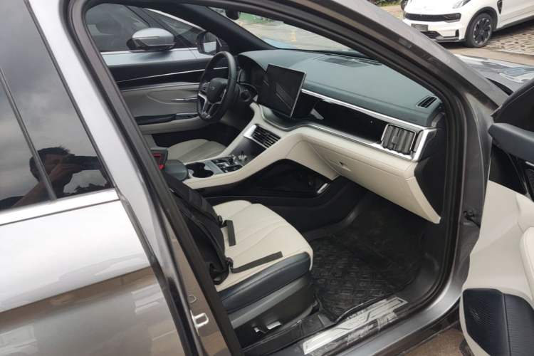 Used BYD Song PLUS New Energy 2023 Champion Edition DM-i 150KM Flagship PLUS Right Front Seat