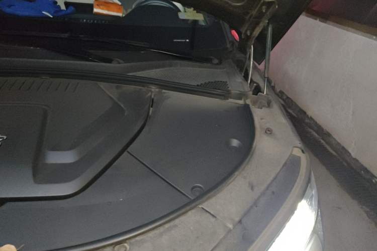 Used BYD Song PLUS New Energy 2023 Champion Edition EV 520KM Prestige Model Engine Bay Left