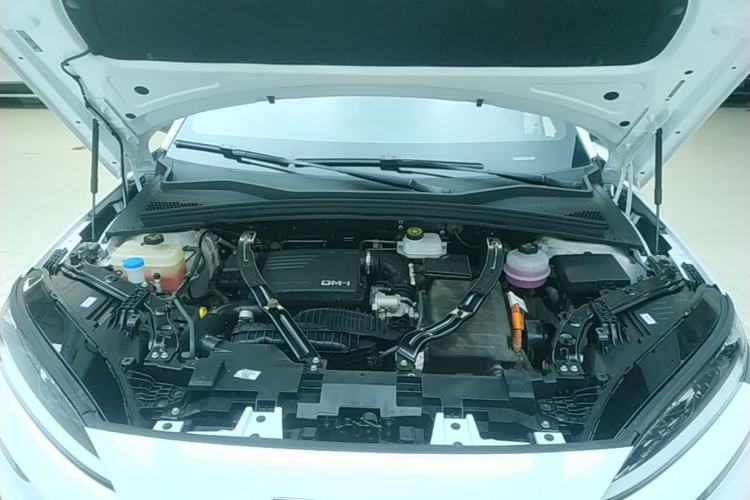 Used BYD Song PLUS New Energy 2023 Champion Edition DM-i 110KM Flagship PLUS Engine Bay