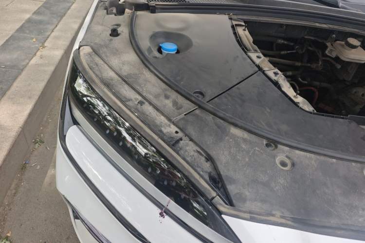 Used BYD Song PLUS New Energy 2023 Champion Edition EV 520KM Prestige Model Engine Bay Right