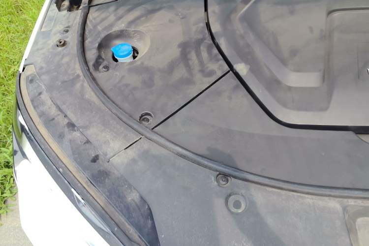 Used BYD Song PLUS New Energy 2023 Champion Edition DM-i 150KM Flagship PLUS Engine Bay Right
