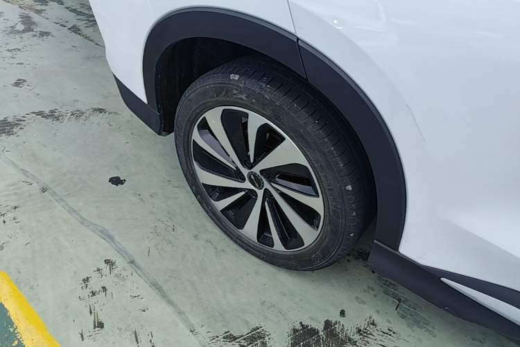 Used BYD Song PLUS New Energy 2023 Champion Edition DM-i 110KM Flagship PLUS Exterior 5