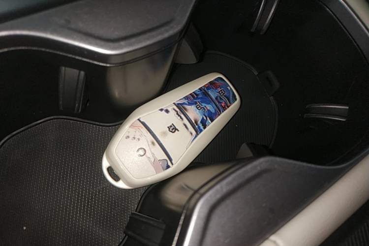 Used BYD Song PLUS New Energy 2023 Champion Edition DM-i 150KM Flagship PLUS Interior 1