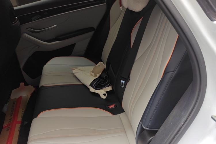 Used BYD Song PLUS New Energy 2023 Champion Edition DM-i 110KM Flagship Model Left Rear Seat