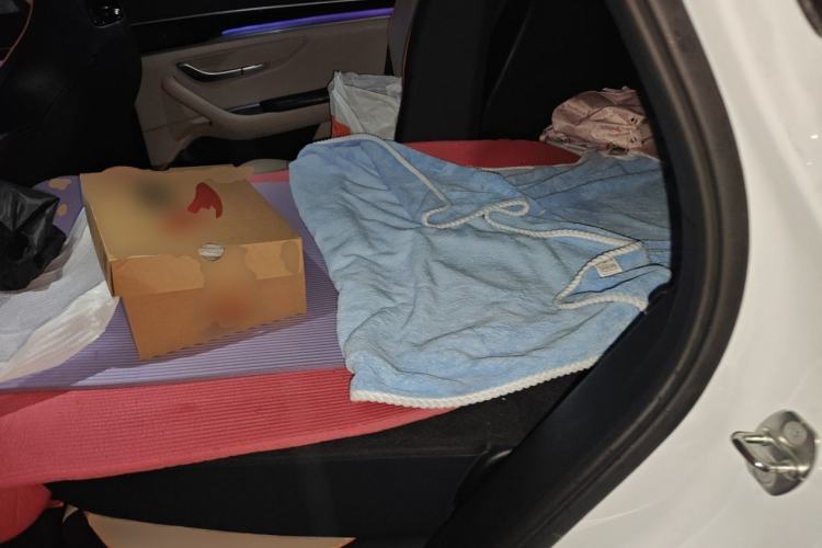 Used BYD Song PLUS New Energy 2023 Champion Edition DM-i 110KM Flagship PLUS Left Rear Seat