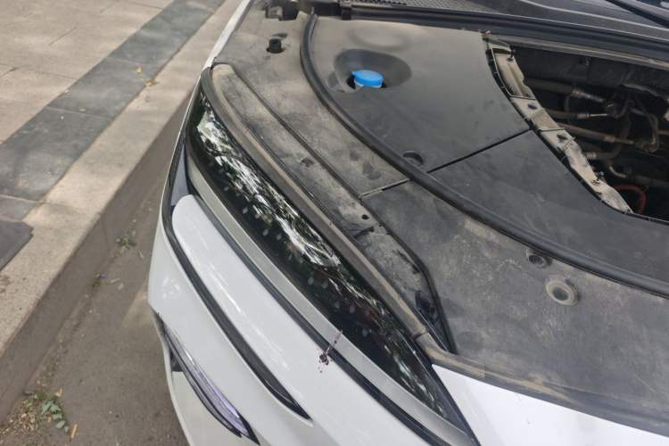 Used BYD Song PLUS New Energy 2023 Champion Edition EV 520KM Prestige Model Right Front Headlight