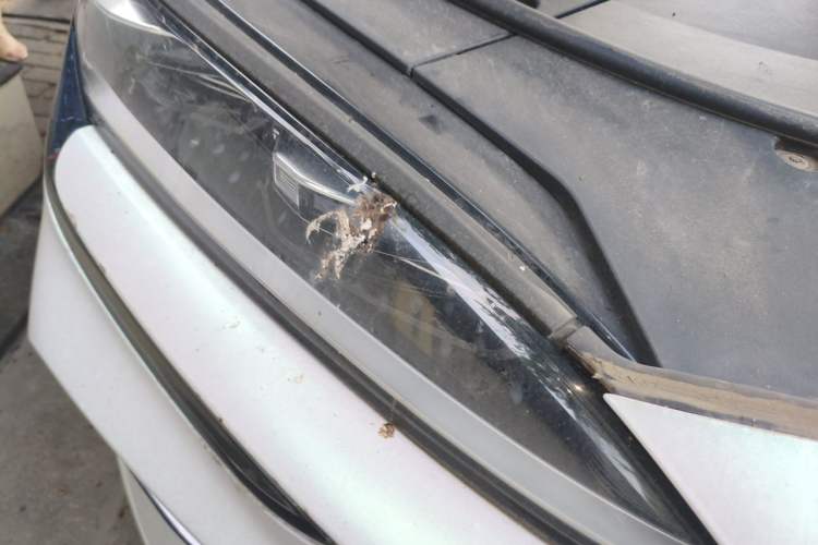 Used BYD Song PLUS New Energy 2023 Champion Edition EV 520KM Prestige Model Right Front Headlight