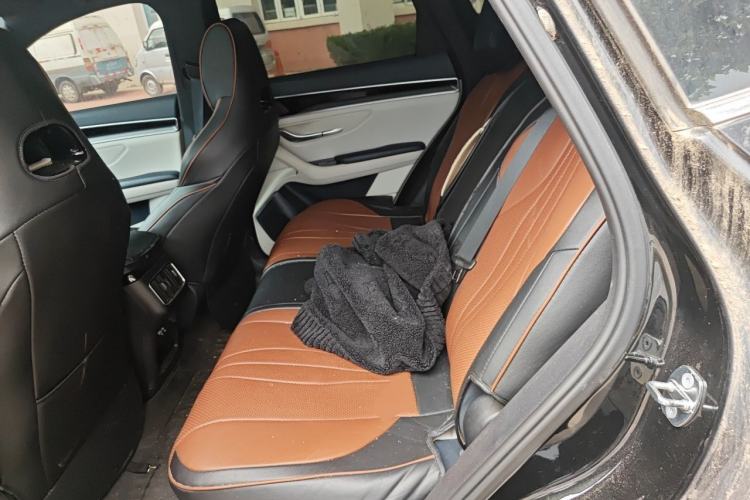 Used BYD Song PLUS New Energy 2024 Honor Edition EV 520km Premium Model Left Rear Seat