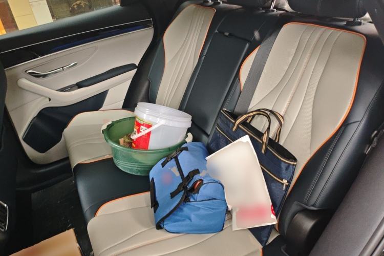 Used BYD Song PLUS New Energy 2024 HONOR Edition DM-i 110km Flagship PLUS Left Rear Seat
