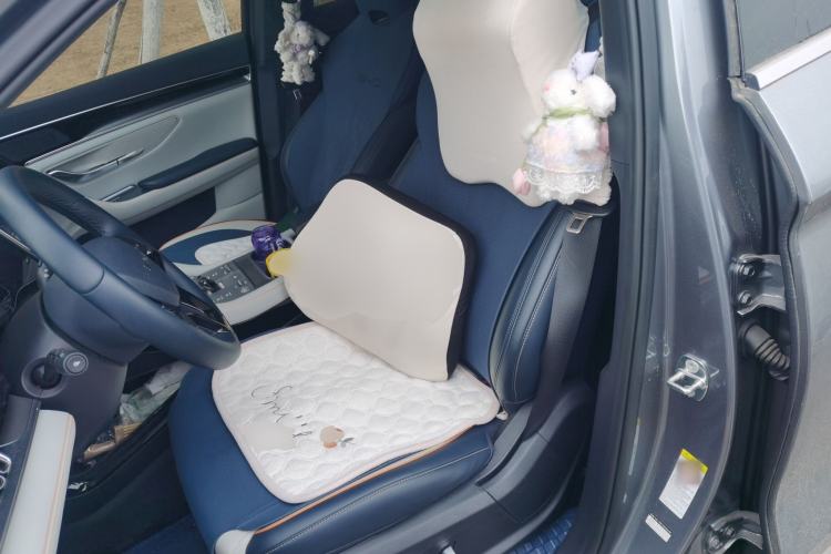 Used BYD Song PLUS New Energy 2024 HONOR Edition DM-i 110km Flagship Model Left Front Seat