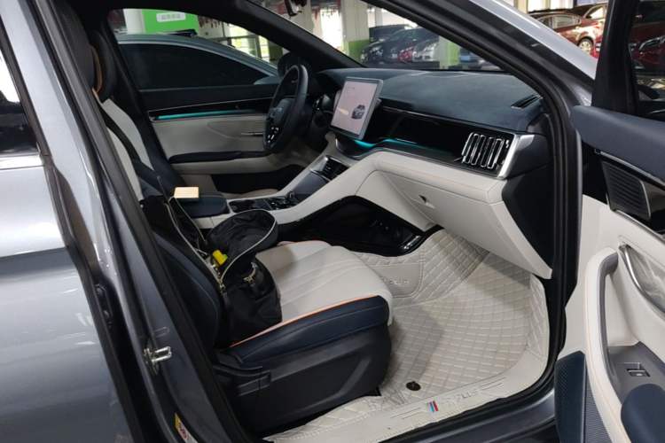 Used BYD Song PLUS New Energy 2024 HONOR Edition DM-i 71km Luxury Model Right Front Seat