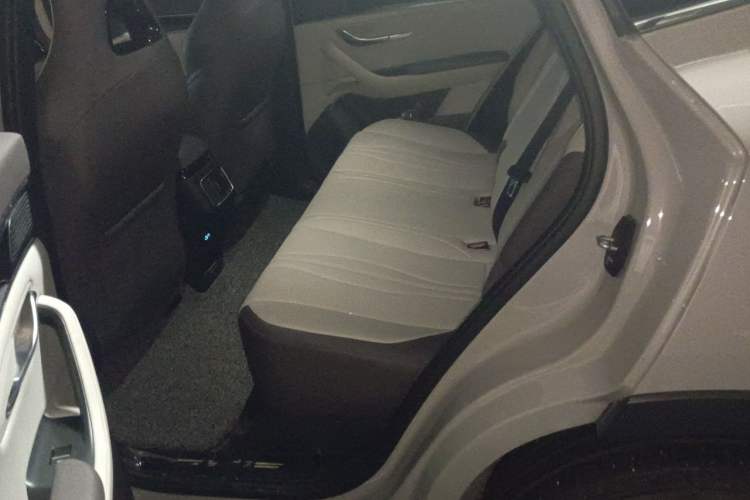 Used BYD Song PLUS New Energy 2024 Honor Edition EV 520km Luxury Model Left Rear Seat
