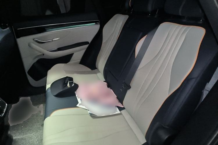 Used BYD Song PLUS New Energy 2024 HONOR Edition DM-i 110km Flagship PLUS Left Rear Seat