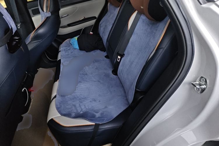 Used BYD Song PLUS New Energy 2024 HONOR Edition DM-i 110km Flagship Model Left Rear Seat