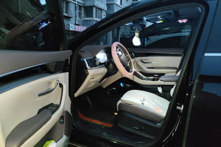 Used BYD Song PLUS New Energy 2025 EV 520km Luxury Version Driver Seat