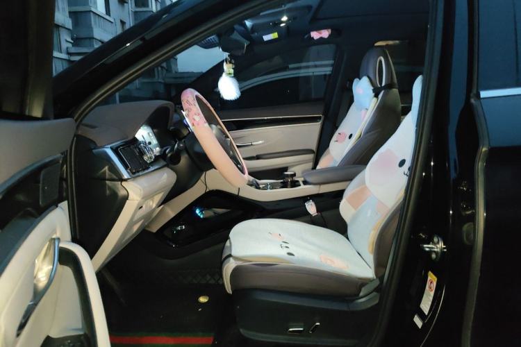 Used BYD Song PLUS New Energy 2025 EV 520km Luxury Version Left Front Seat