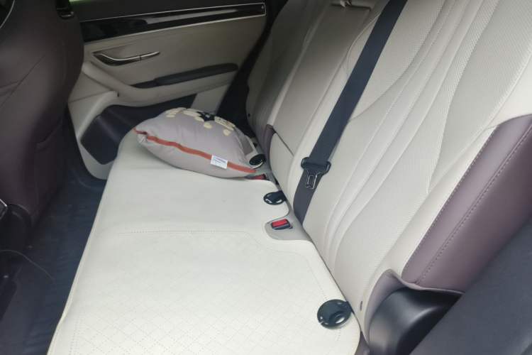 Used BYD Song PLUS New Energy 2025 DM-i Smart Drive 112KM Prestige Model Left Rear Seat