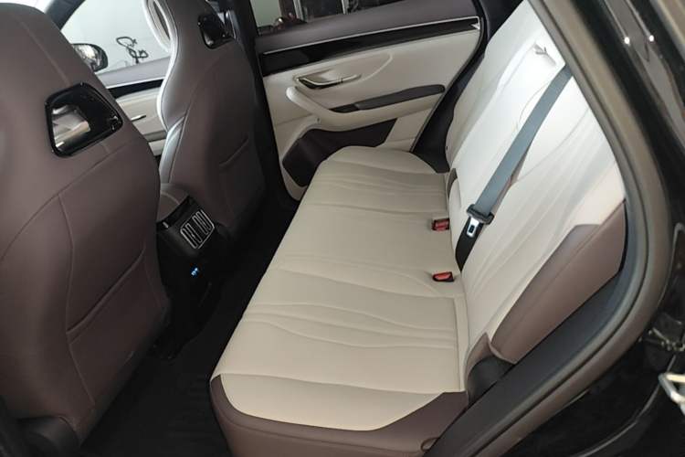 Used BYD Song PLUS New Energy 2025 DM-i 75KM Luxury Model Left Rear Seat