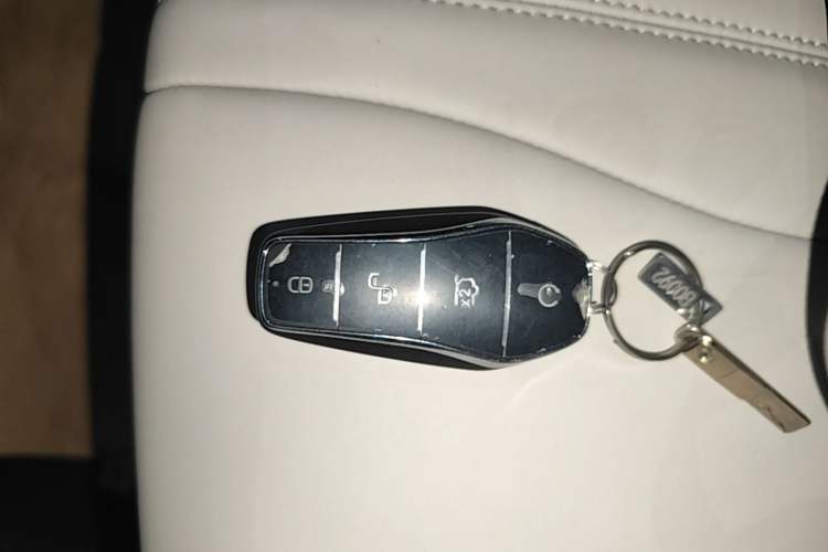 Used BYD Song PLUS New Energy 2025 DM-i 75KM Luxury Model Vehicle Key