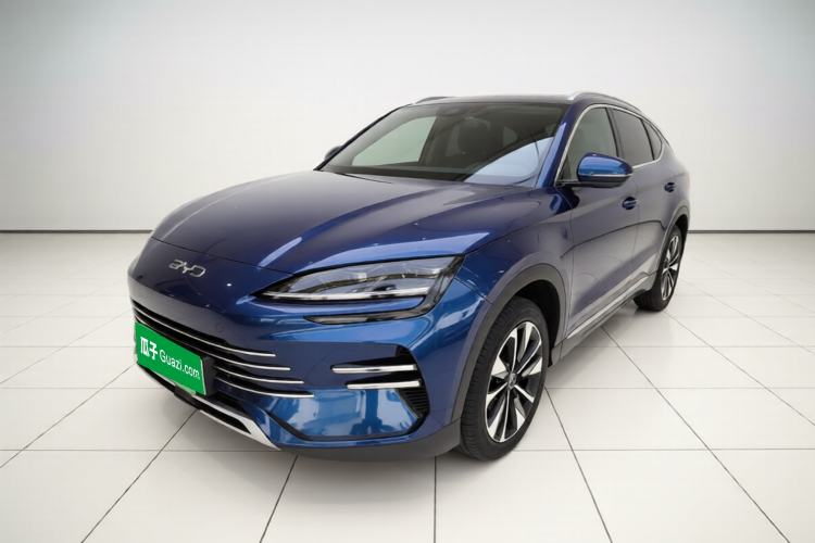 BYD Song PLUS New Energy 2025 DM-i 112KM Prestige Model - Executive