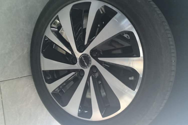 Used BYD Song PLUS New Energy 2025 EV Smart Drive Edition 605km Flagship Model Exterior 5