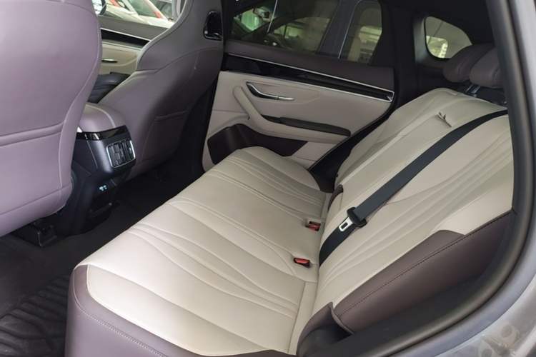Used BYD Song PLUS New Energy 2025 EV 520km Luxury Version Left Rear Seat