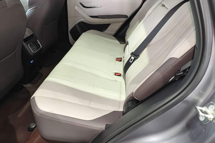 Used BYD Song PLUS New Energy 2025 EV 520km Premium Version Left Rear Seat