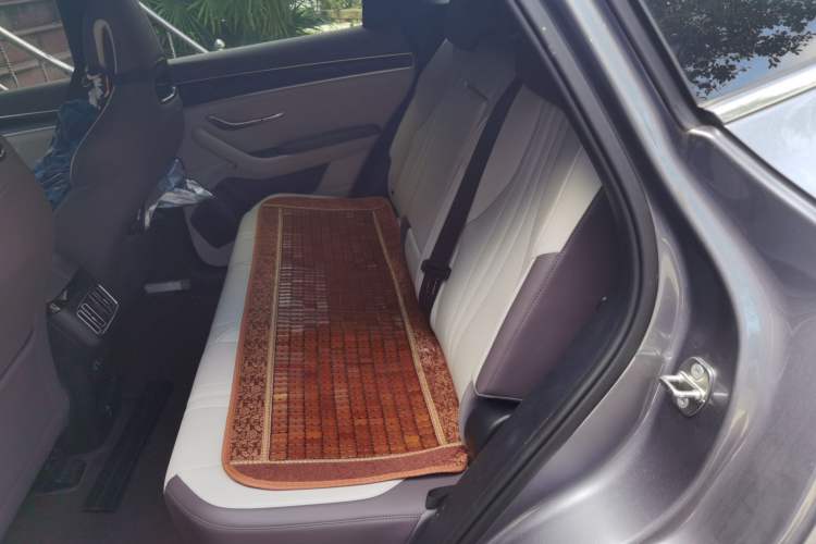 Used BYD Song PLUS New Energy 2025 DM-i 112KM Prestige Model Left Rear Seat