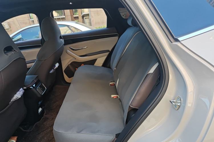 Used BYD Song PLUS New Energy 2025 DM-i 75KM Luxury Model Left Rear Seat