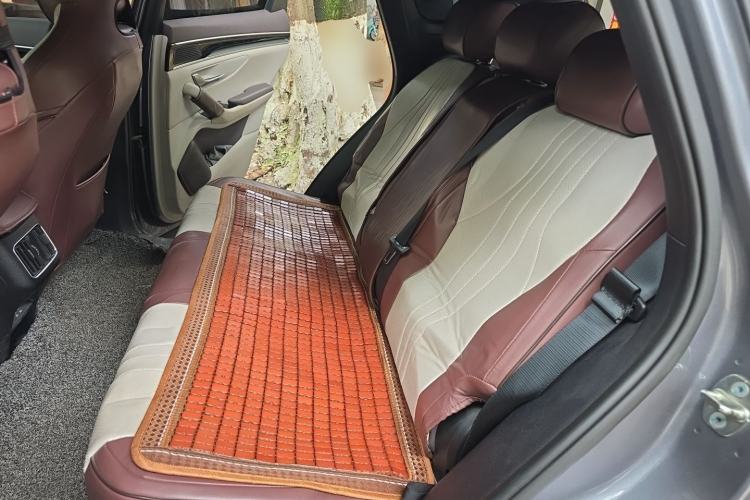 Used BYD Song PLUS New Energy 2025 EV 520km Luxury Version Left Rear Seat