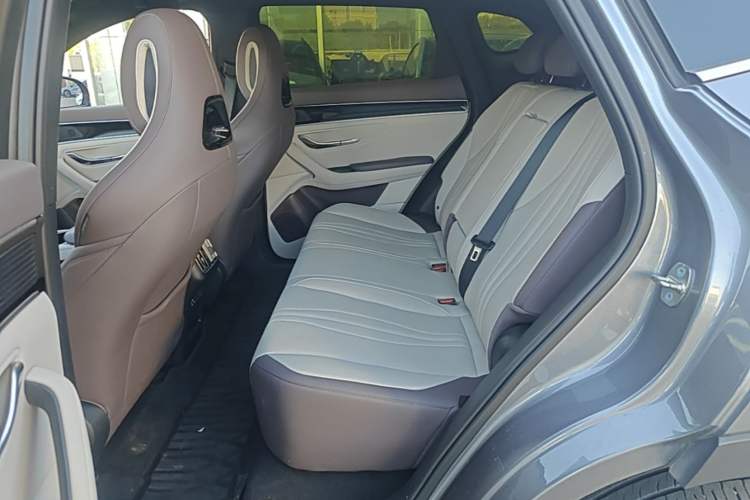 Used BYD Song PLUS New Energy 2025 EV 520km Premium Version Left Rear Seat