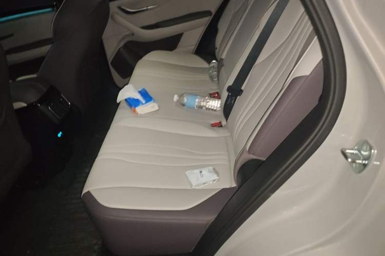 Used BYD Song PLUS New Energy 2025 DM-i 112KM Prestige Model Left Rear Seat