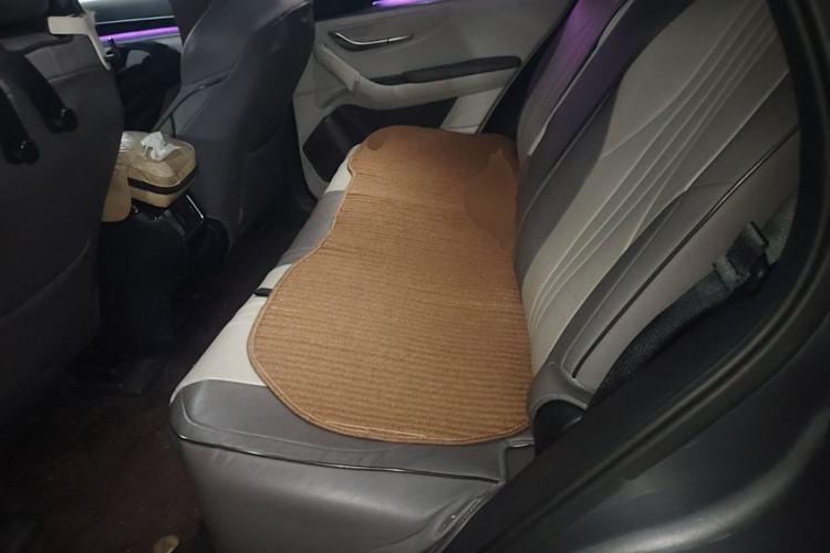 Used BYD Song PLUS New Energy 2025 DM-i 160KM Flagship PLUS Left Rear Seat