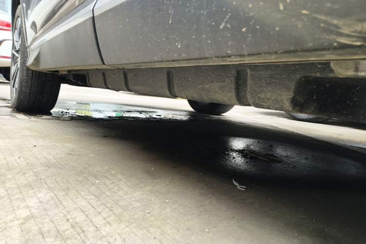 Used BYD Song PLUS New Energy 2025 DM-i Intelligent Driving 160KM Flagship Model Left Side Sill