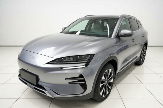 BYD Song PLUS New Energy 2025 EV 520km Premium Version usado
