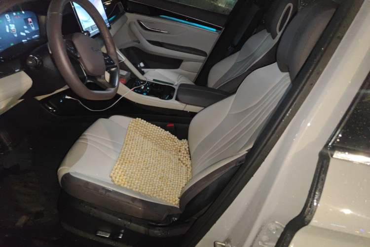 Used BYD Song PLUS New Energy 2025 DM-i Intelligent Driving 112KM Prestige Model Left Front Seat