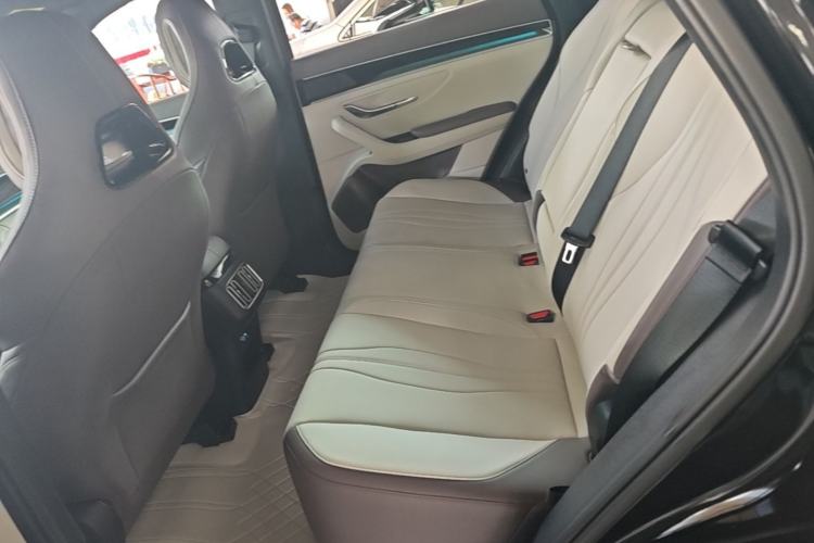 Used BYD Song PLUS New Energy 2025 DM-i Intelligent Driving 112KM Prestige Model Left Rear Seat