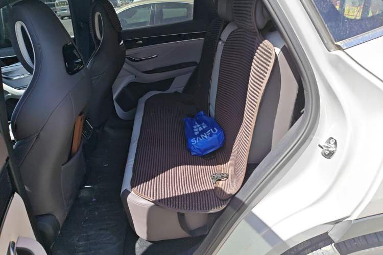 Used BYD Song PLUS New Energy 2025 EV 520km Premium Version Left Rear Seat