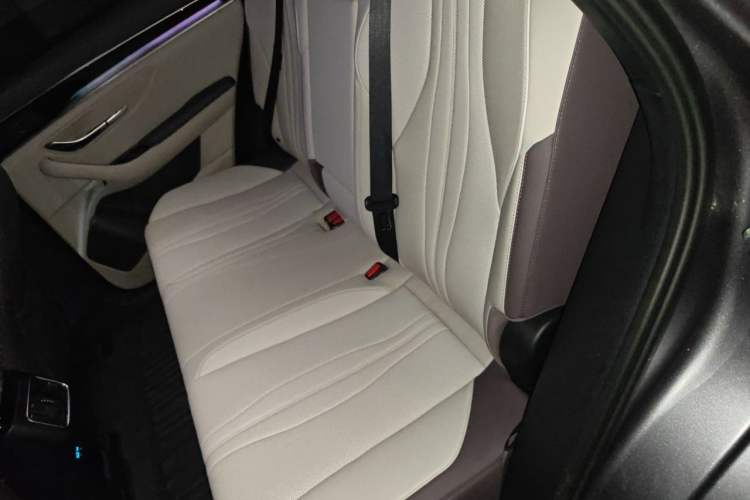 Used BYD Song PLUS New Energy 2025 DM-i 112KM Prestige Model Left Rear Seat