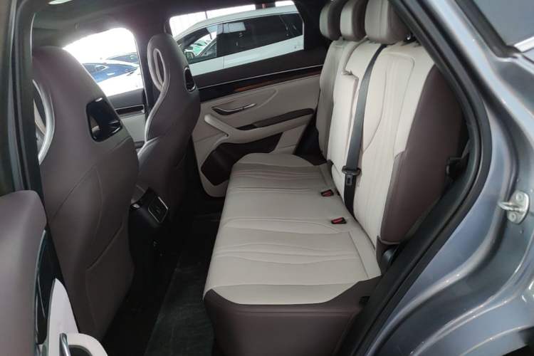 Used BYD Song PLUS New Energy 2025 EV 520km Premium Version Left Rear Seat
