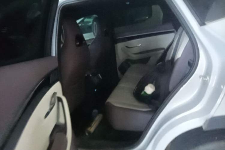 Used BYD Song PLUS New Energy 2025 EV Intelligent Driving Edition 520km Luxury Model Left Rear Seat